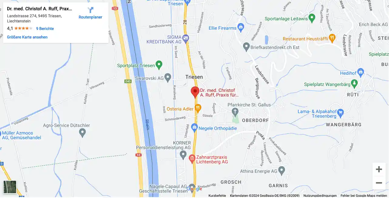 Google Maps - Map ID ad203f14d7